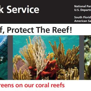 Sunscreen Affects Our Reefs